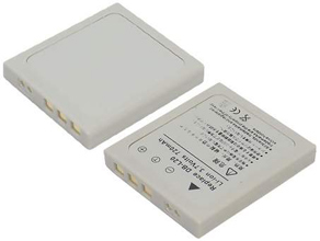 SANYO DB-L20 battery